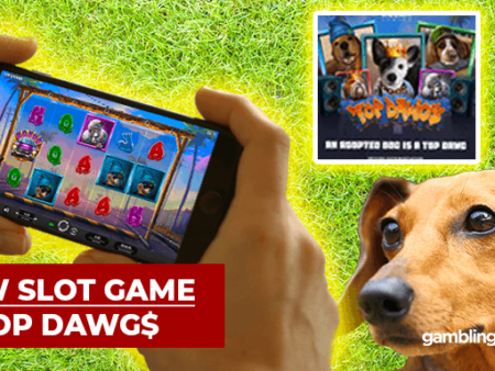 Relax Gaming’s Top Dawgs Slot Supports ‘Adopt a Shelter Pet Day’